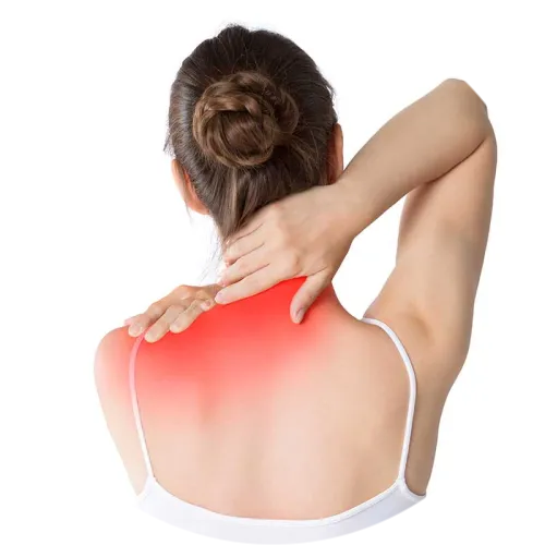 Ермолина Любовь Николаевна 